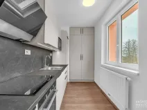 Pronájem bytu 2+kk, Týniště nad Orlicí, Družstevní, 54 m2