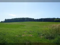 Prodej louky, Cehnice, 71196 m2