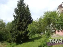 Prodej pozemku pro bydlení, Mladějov, 2297 m2