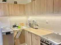 Pronájem bytu 1+1, Praha, 50 m2
