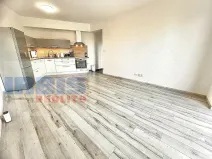 Pronájem bytu 2+kk, Plzeň, Papírnická, 50 m2