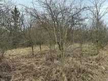 Prodej zahrady, Bechlín, 630 m2