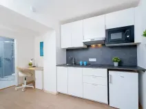 Prodej bytu 1+kk, Praha - Krč, Čerčanská, 20 m2