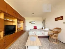 Prodej bytu 1+1, Rosice, Kaštanová, 39 m2
