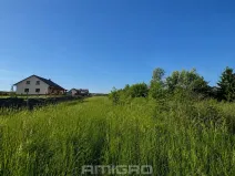 Prodej pozemku pro bydlení, Vranová, 10000 m2