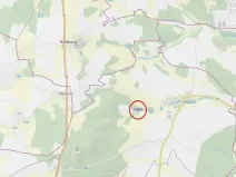 Prodej lesa, Štoky, 6941 m2