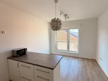 Pronájem bytu 1+kk, Brno, Přadlácká, 25 m2
