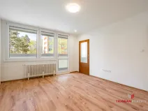 Pronájem bytu 1+kk, Hradec Králové - Slezské Předměstí, 35 m2