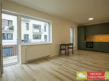 Pronájem bytu 1+kk, Praha, Štěchovická, 45 m2