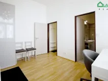 Pronájem bytu 1+kk, Brno, Koliště, 25 m2