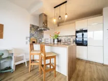 Prodej bytu 1+kk, Olomouc, Loudova, 36 m2