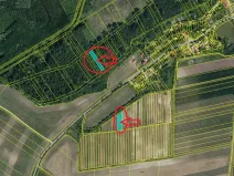 Prodej podílu sadu/vinice, Brod nad Dyjí, 2061 m2