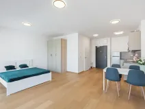 Prodej bytu 1+kk, Praha - Holešovice, Tusarova, 41 m2