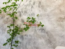Pronájem obchodního prostoru, Praha - Holešovice, Kostelní, 48 m2