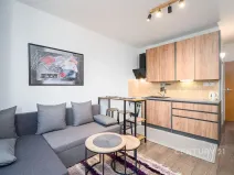 Pronájem bytu 1+kk, Ústí nad Labem, Větrná, 20 m2