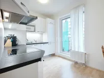 Prodej bytu 2+kk, Praha - Malešice, Nad úžlabinou, 48 m2
