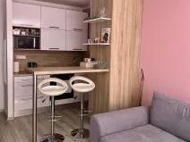 Pronájem bytu 1+kk, Karviná, tř. 17. listopadu, 32 m2