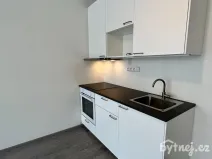 Pronájem bytu 1+kk, Vyškov - Dědice, Sídliště Osvobození, 29 m2