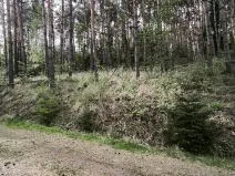 Prodej lesa, Úštěk, 9179 m2