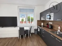 Pronájem bytu 1+kk, České Budějovice, Reinerova, 29 m2