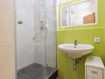 Pronájem bytu 1+1, Rokycany, Pod Ohradou, 35 m2