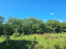 Prodej pozemku pro bydlení, Letovice, 1845 m2
