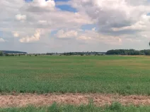 Prodej pozemku, Kladruby nad Labem, 6524 m2