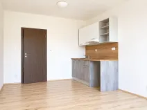 Pronájem bytu 1+kk, Syrovice, 28 m2