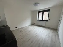 Pronájem bytu 1+kk, Praha - Krč, U strže, 25 m2