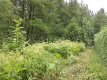 Prodej pozemku, Teplice nad Metují - Horní Teplice, 18922 m2
