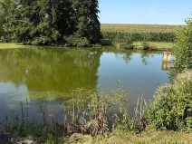 Prodej chalupy, Ratboř, 161 m2