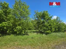 Prodej pozemku pro bydlení, Bor - Boječnice, 2517 m2