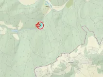 Prodej podílu lesa, Buchlovice, 1308 m2
