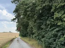 Prodej podílu lesa, Kojice, 4203 m2