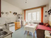 Prodej bytu 1+1, Praha - Žižkov, Baranova, 44 m2