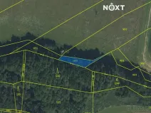 Prodej pole, Ledenice, 6722 m2