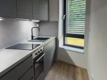 Pronájem bytu 2+kk, Kutná Hora, Plk. Loudy, 54 m2