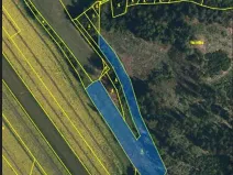 Prodej lesa, Dolní Hořice, 8003 m2