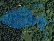 Dražba lesa, Vsetín, 11544 m2