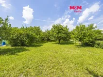 Prodej zahrady, Dobruška, Doly, 580 m2