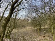 Prodej louky, Městečko Trnávka - Lázy, 1158 m2
