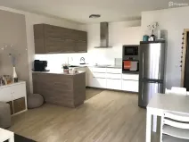 Prodej bytu 3+kk, Brno, Škroupova, 64 m2