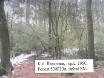 Prodej lesa, Řimovice, 522 m2