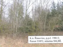 Prodej lesa, Řimovice, 522 m2