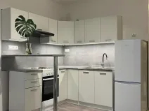 Prodej bytu 1+kk, Chodov, Jiráskova, 19 m2