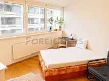 Pronájem bytu 1+kk, Brno, Kopečná, 29 m2