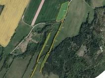Prodej louky, Město Albrechtice, 64132 m2