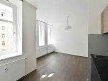 Pronájem bytu 1+kk, Praha - Vinohrady, Lucemburská, 30 m2
