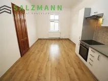 Pronájem bytu 2+1, Plzeň, Plachého, 71 m2