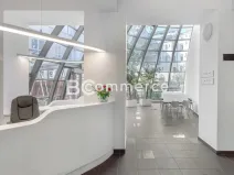 Pronájem kanceláře, Brno, 155 m2
